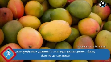 رسميًا.. أسعار المانجو اليوم الأحد 17 أغسطس 2025 وتراجع سعر التيمور يبدأ من 30 جنيهًا